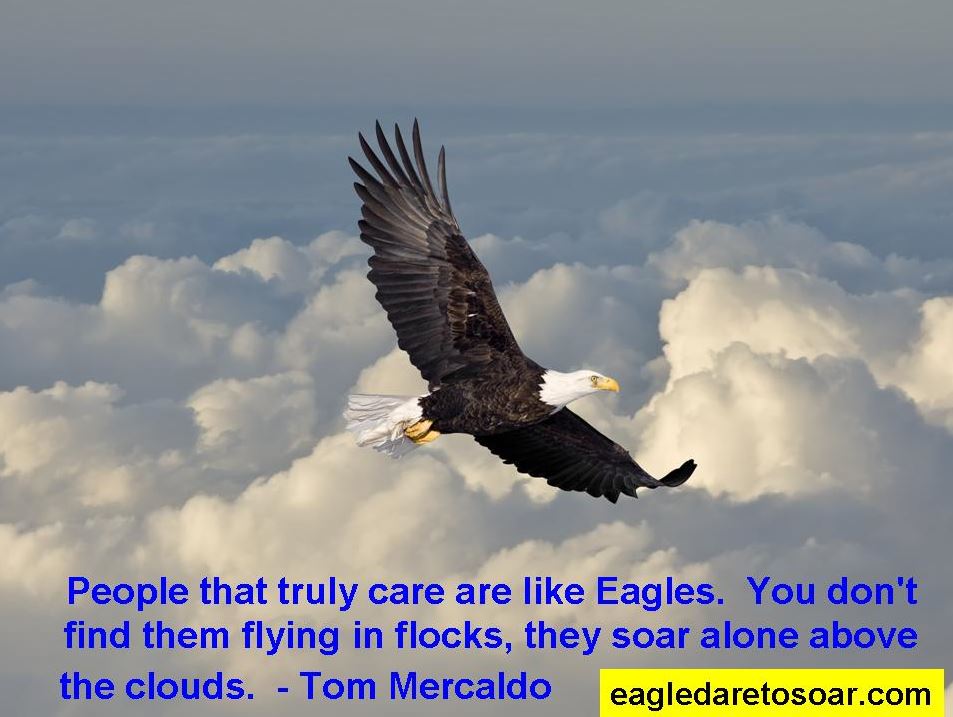 Dare to Soar Motivational Soaring Eagle